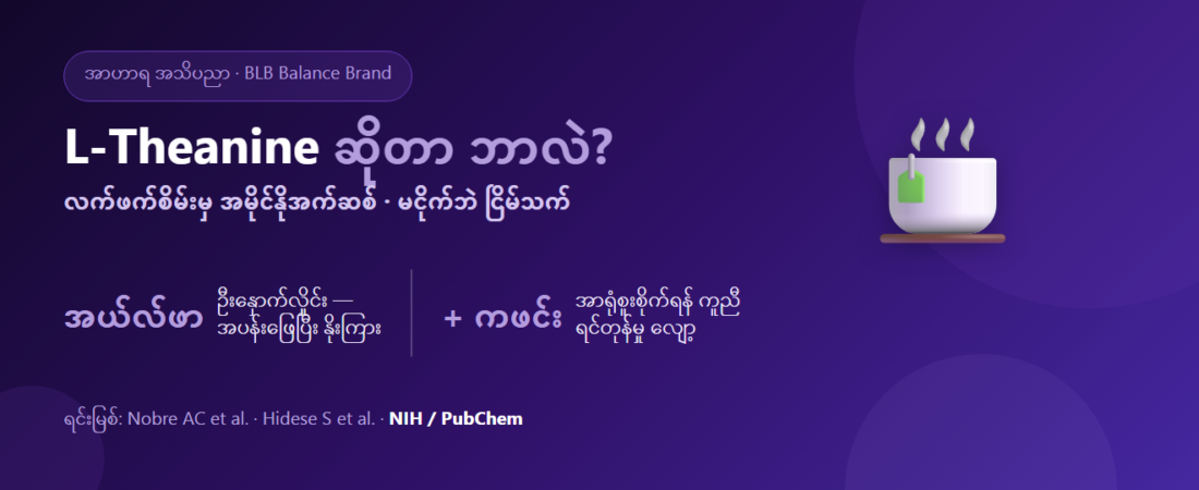 L-Theanine ဆိုတာ ဘာလဲ? လက်ဖက်စိမ်းမှ အမိုင်နိုအက်ဆစ် — မငိုက်ဘဲ အပန်းဖြေ