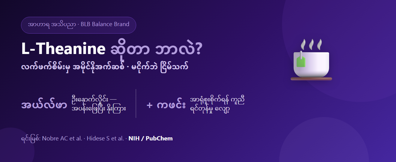 L-Theanine ဆိုတာ ဘာလဲ? လက်ဖက်စိမ်းမှ အမိုင်နိုအက်ဆစ် — မငိုက်ဘဲ အပန်းဖြေ