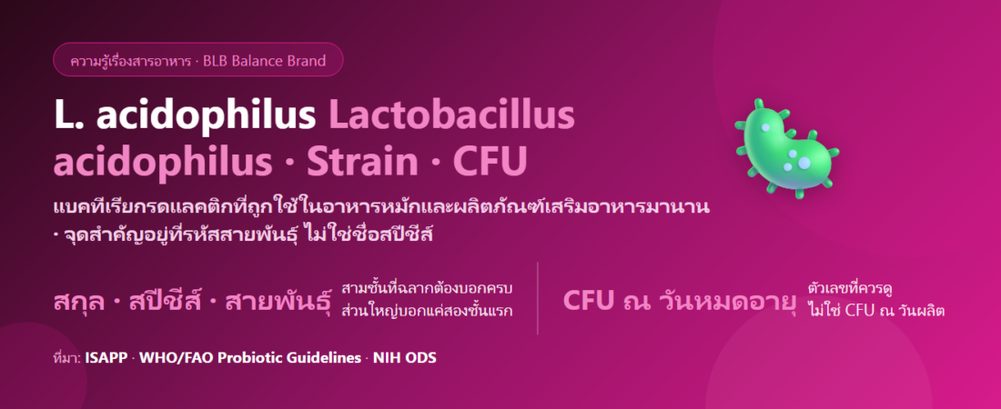 Lactobacillus acidophilus คืออะไร? โพรไบโอติกตัวคลาสสิกกับเรื่องสายพันธุ์ที่ฉลากมักไม่บอก