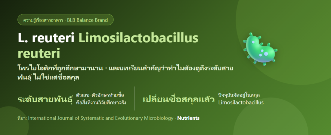 Lactobacillus reuteri คืออะไร? โพรไบโอติกที่อยู่กับมนุษย์มานาน และทำไม “สายพันธุ์” จึงสำคัญกว่า “สกุล”
