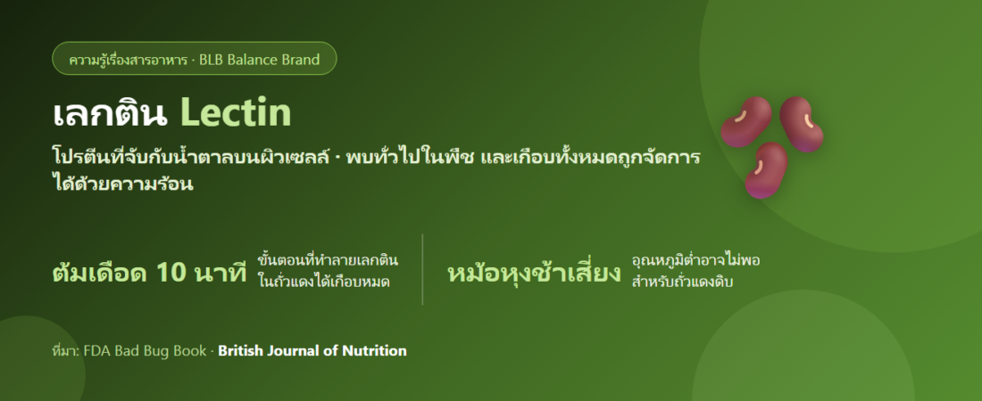 เลกติน (Lectin) คืออะไร? สารในถั่วที่ถูกโทษว่าทำให้ลำไส้พัง จริงแค่ไหน