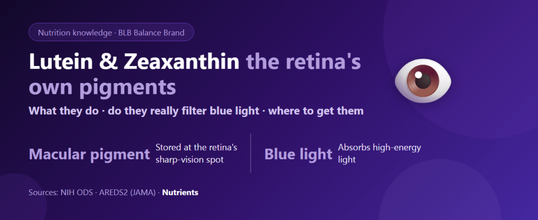 Lutein and zeaxanthin explained: the retina’s own pigments, do they really filter blue light, and which foods give you them