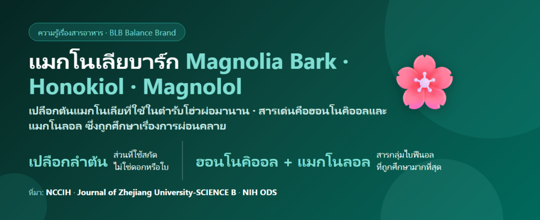 แมกโนเลียบาร์ก (Magnolia Bark) คืออะไร? ฮอนโนคิออลกับเรื่องผ่อนคลายที่ต้องอ่านให้ครบ