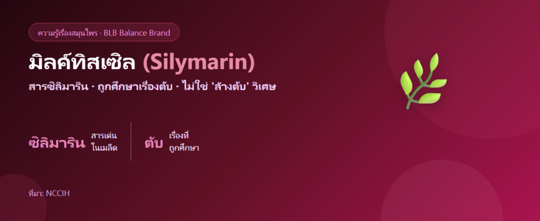 มิลค์ทิสเซิล (Milk Thistle) คืออะไร? สมุนไพรที่คนพูดถึงเรื่องดูแลตับ