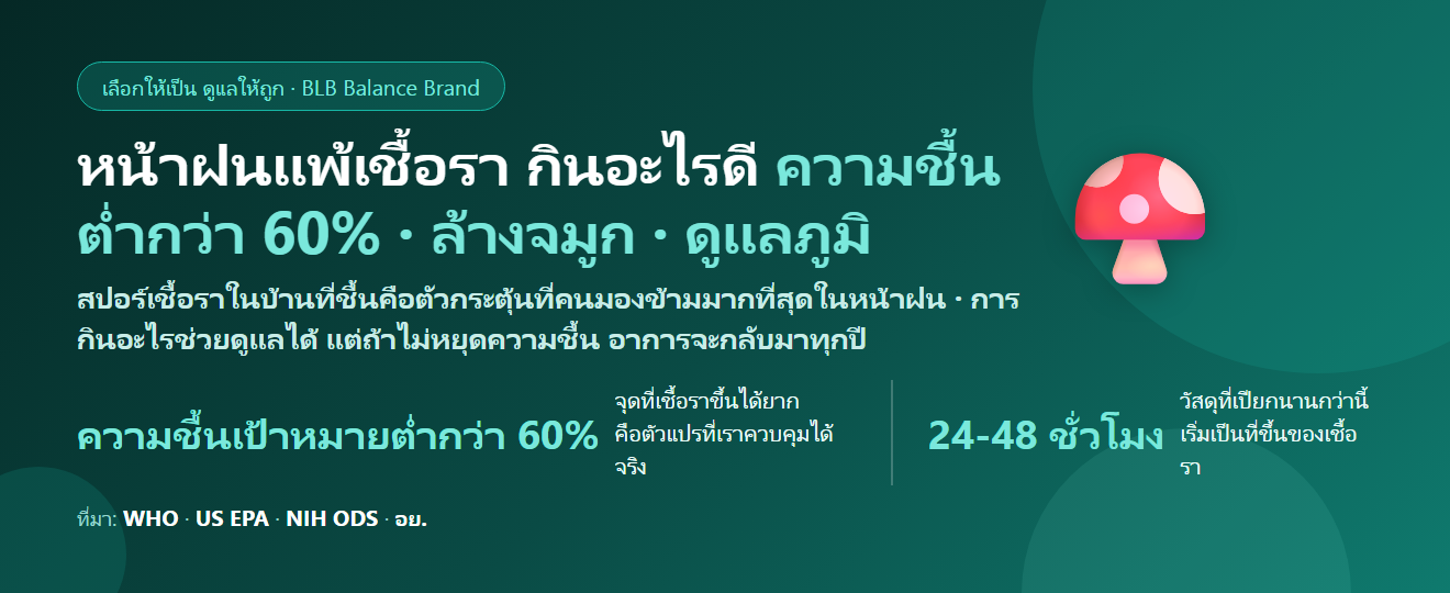 หน้าฝนบ้านชื้น แพ้เชื้อรา จามคัดจมูกไอเรื้อรัง กินอะไรดี? จัดการความชื้นควบคู่ดูแลภูมิ