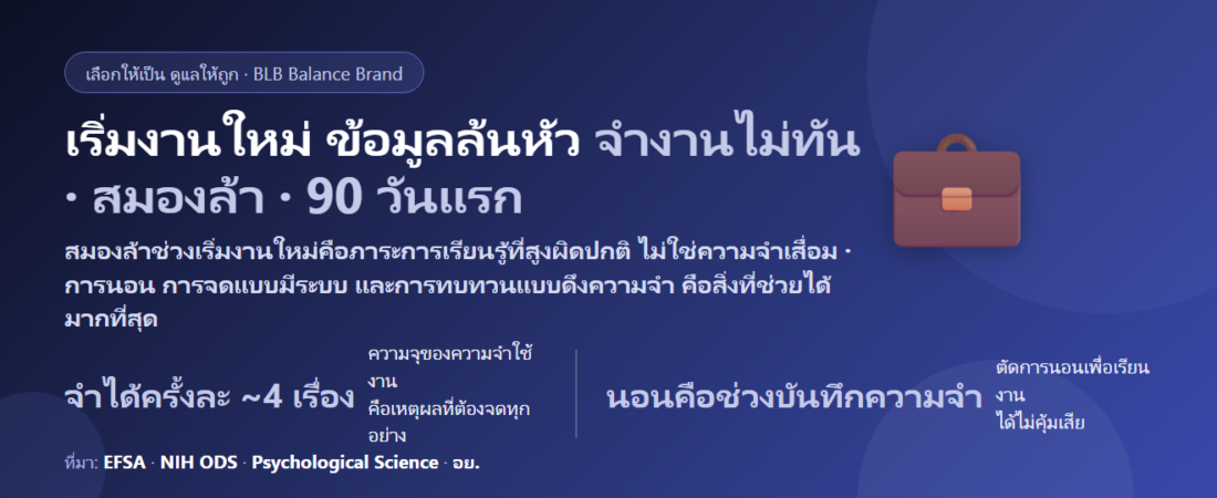 เริ่มงานใหม่ ข้อมูลล้นหัว จำงานไม่ทัน สมองล้าตอนบ่าย กินอะไรดี? ดูแลสมองช่วง 90 วันแรก