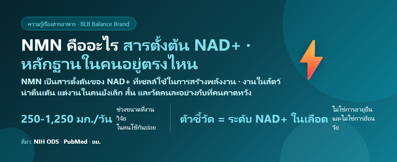 NMN คืออะไร? สารตั้งต้น NAD+ ที่ถูกพูดถึงเรื่องพลังงานเซลล์และการสูงวัย — หลักฐานจริงอยู่ตรงไหน
