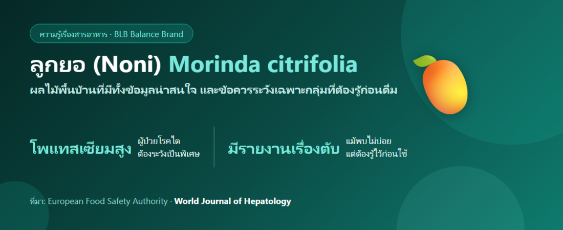 ลูกยอ (Noni) คืออะไร? สมุนไพรพื้นบ้านไทยที่ต้องรู้จักทั้งข้อดีและข้อควรระวังเรื่องตับ