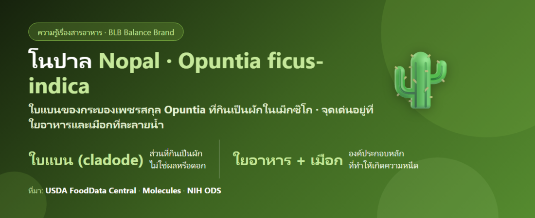 โนปาล (Nopal) แคคตัสกินได้คืออะไร? ใยอาหารจากกระบองเพชรกับข้อมูลที่ต้องอ่านให้ครบ