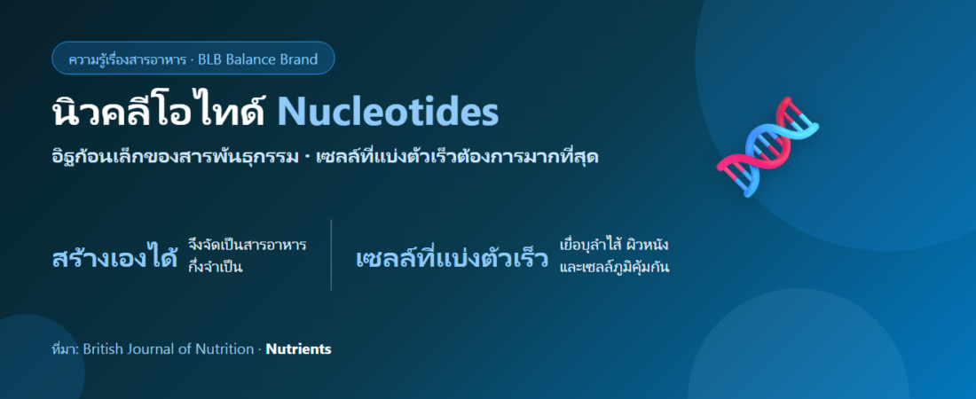 นิวคลีโอไทด์ในอาหาร คืออะไร? หน่วยย่อยของ DNA กับเรื่องการสร้างเซลล์ใหม่