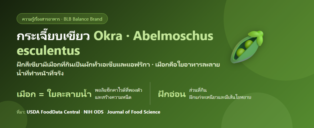 กระเจี๊ยบเขียว (Okra) คืออะไร? เมือกที่คนไม่ชอบกลับเป็นส่วนที่มีประโยชน์ที่สุด