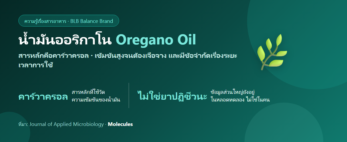 น้ำมันออริกาโน (Oregano Oil) คืออะไร? คาร์วาครอล วิธีเลือก และข้อควรระวังที่คนมักข้าม