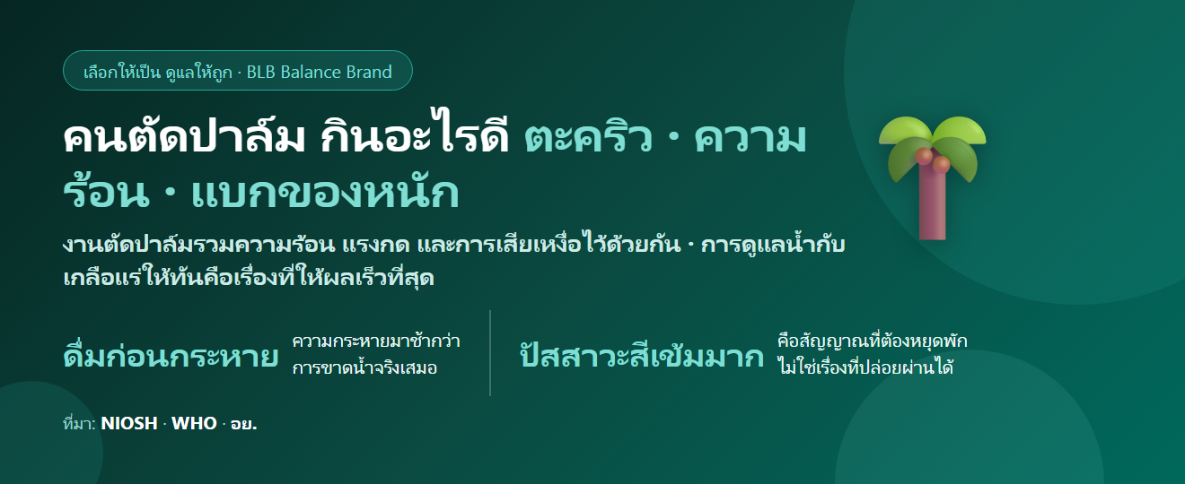 คนตัดปาล์ม แบกทะลายหนัก แดดจัดทั้งวัน ตะคริวบ่อย กินอะไรดี? ดูแลกล้ามเนื้อและความร้อน