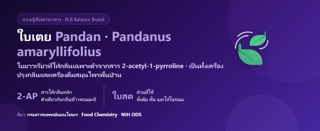 ใบเตย (Pandan) คืออะไร? กลิ่นหอมที่มาจากสารตัวเดียว กับข้อมูลสุขภาพที่ต้องอ่านให้ครบ