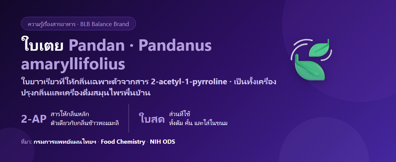ใบเตย (Pandan) คืออะไร? กลิ่นหอมที่มาจากสารตัวเดียว กับข้อมูลสุขภาพที่ต้องอ่านให้ครบ
