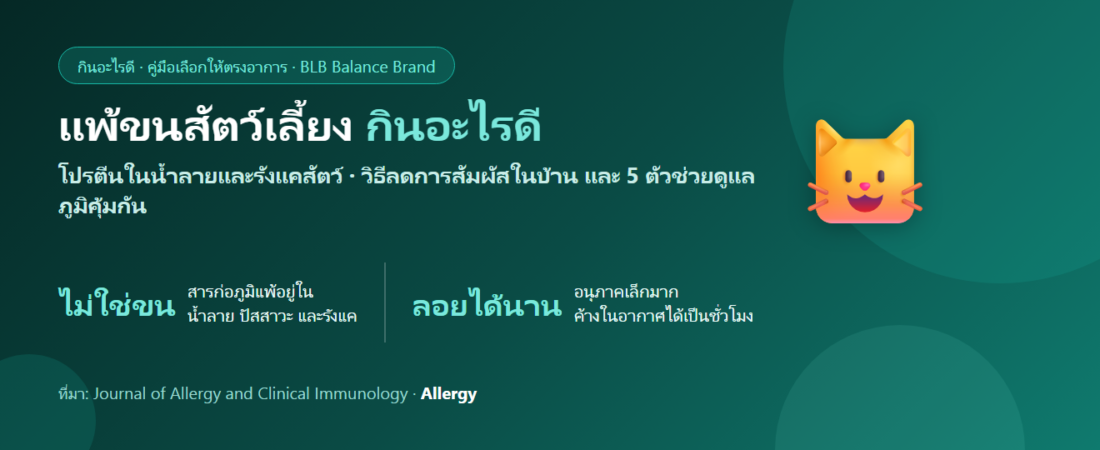แพ้ขนสัตว์เลี้ยง จาม คัดจมูก คันตา กินอะไรดี? อยู่กับน้องหมาน้องแมวอย่างเข้าใจ