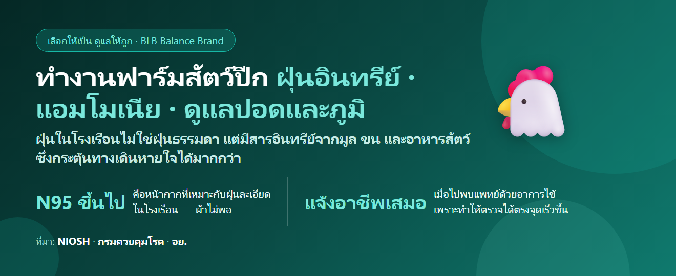 ทำงานฟาร์มไก่ ฟาร์มสัตว์ปีก ฝุ่นและกลิ่นแอมโมเนียทั้งวัน กินอะไรดี? ดูแลปอดและภูมิให้ถูกวิธี