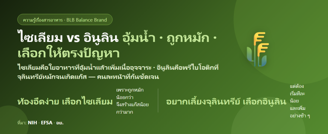 ไซเลียมฮัสก์ vs อินูลิน ต่างกันยังไง? ท้องผูกควรเลือกตัวไหน ทำไมบางคนกินแล้วยิ่งอืด และกินคู่กันได้ไหม