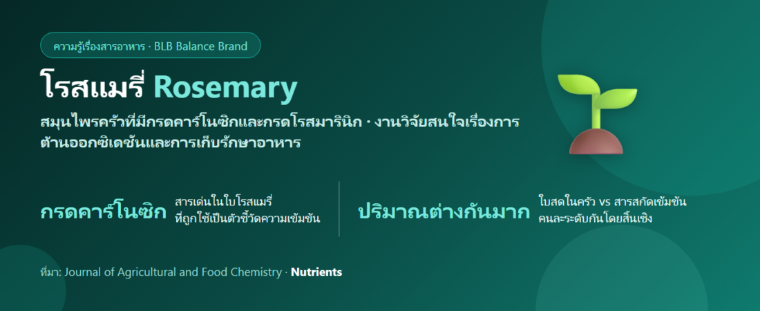 โรสแมรี่ (Rosemary) กับกรดคาร์โนซิก คืออะไร? สมุนไพรครัวที่งานวิจัยสนใจเรื่องสารต้านอนุมูลอิสระ