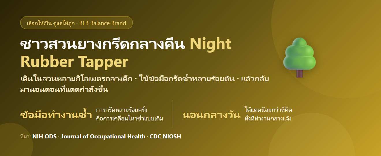 ชาวสวนยาง กรีดยางตั้งแต่ตี 1 นอนกลางวัน กินอะไรดี? ดูแลกระดูก ข้อมือ และการพักผ่อน