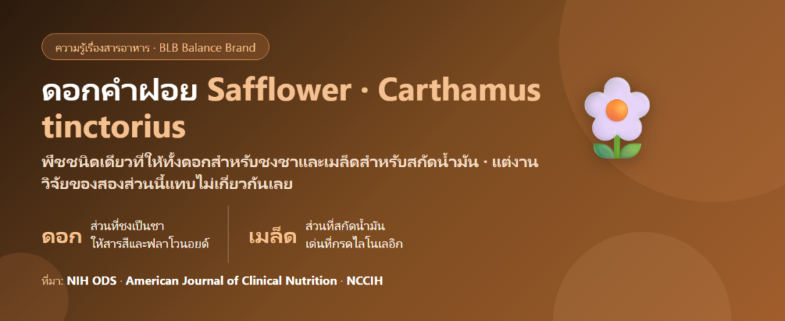 ดอกคำฝอย (Safflower) คืออะไร? ชาสมุนไพรกับน้ำมันเมล็ด สองเรื่องที่คนสับสนกันมากที่สุด