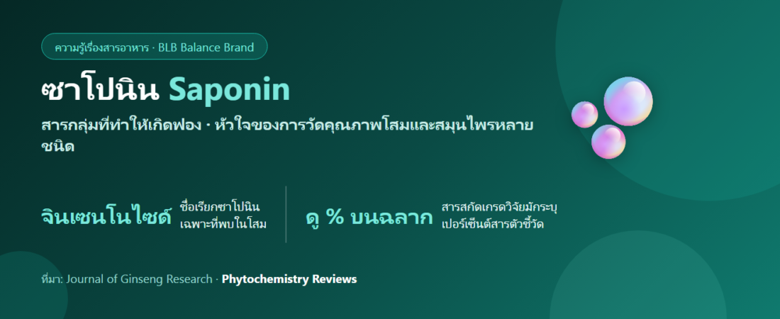 ซาโปนิน (Saponin) คืออะไร? สารที่ทำให้โสมเป็นโสม และเหตุผลที่ต้องดูตัวเลขบนฉลาก