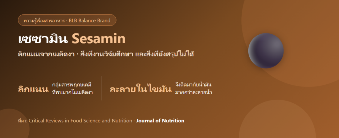 เซซามิน (Sesamin) ในงาคืออะไร? ลิกแนนที่งานวิจัยสนใจเรื่องไขมันและตับ