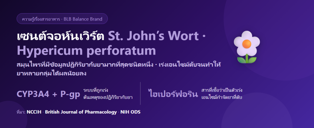 เซนต์จอห์นเวิร์ต (St. John’s Wort) คืออะไร? สมุนไพรที่ตีกับยามากที่สุดตัวหนึ่ง