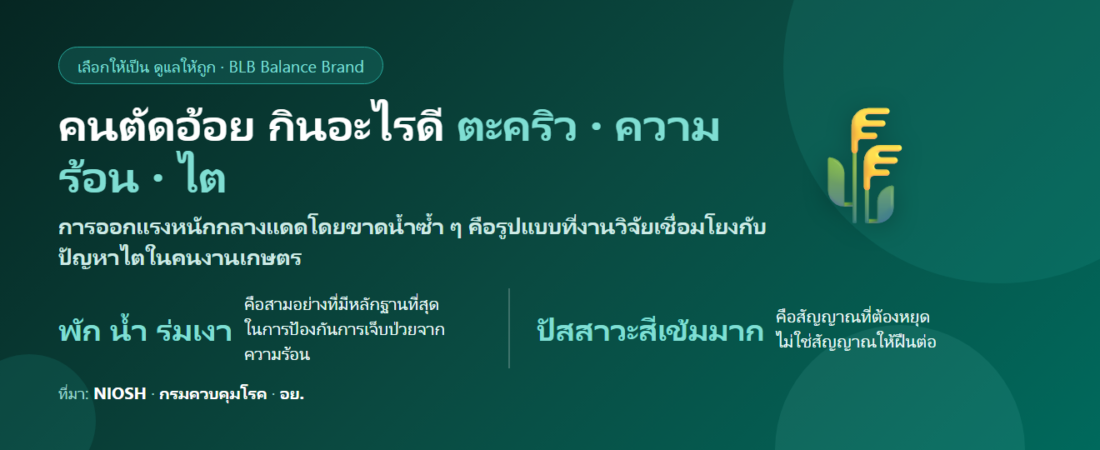 คนตัดอ้อย แดดจัด เป็นตะคริวบ่อย กินอะไรดี? ดูแลกล้ามเนื้อ ความร้อน และไตที่ต้องระวัง