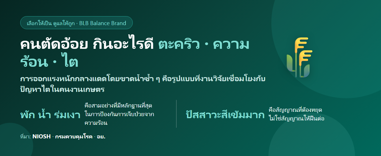 คนตัดอ้อย แดดจัด เป็นตะคริวบ่อย กินอะไรดี? ดูแลกล้ามเนื้อ ความร้อน และไตที่ต้องระวัง