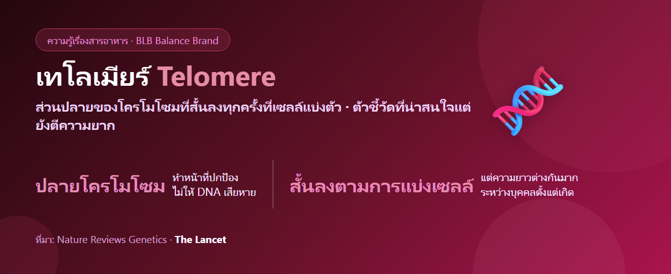 เทโลเมียร์ (Telomere) คืออะไร? ปลายโครโมโซมกับอายุเซลล์ และเหตุผลที่ยังไม่ควรเชื่อชุดตรวจ