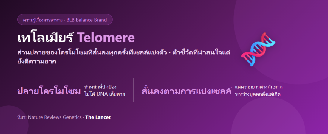 เทโลเมียร์ (Telomere) คืออะไร? ปลายโครโมโซมกับอายุเซลล์ และเหตุผลที่ยังไม่ควรเชื่อชุดตรวจ