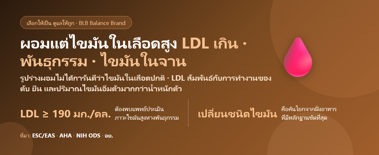 ผอมแต่ไขมันในเลือดสูง ตรวจสุขภาพแล้ว LDL เกิน กินอะไรดี? ทำไมคนหุ่นดีก็ไขมันสูงได้ และสิ่งที่ควรทำก่อนซื้ออาหารเสริม