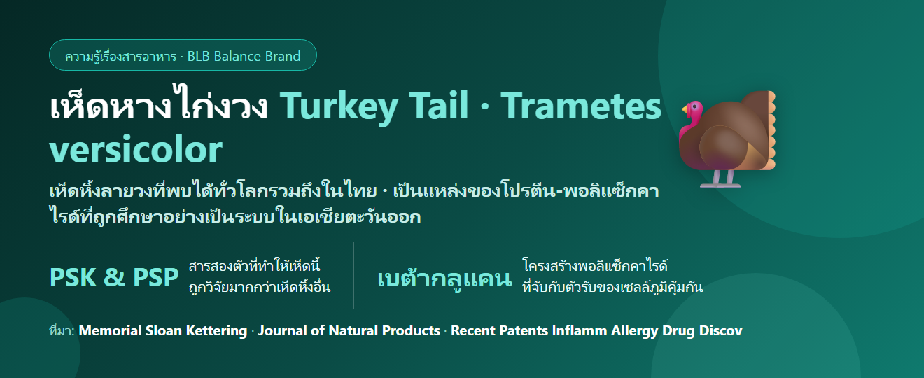 เห็ดหางไก่งวง (Turkey Tail) คืออะไร? เห็ดข้างทางที่กลายเป็นหนึ่งในเห็ดที่ถูกศึกษามากที่สุด