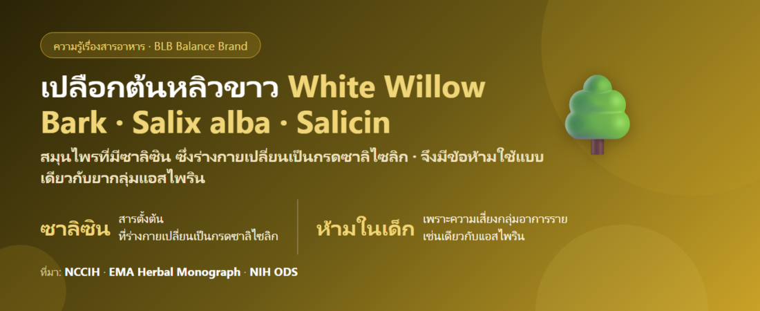 เปลือกต้นหลิวขาว (White Willow Bark) คืออะไร? ซาลิซินกับเหตุผลที่ห้ามคิดว่าเป็นแค่สมุนไพร