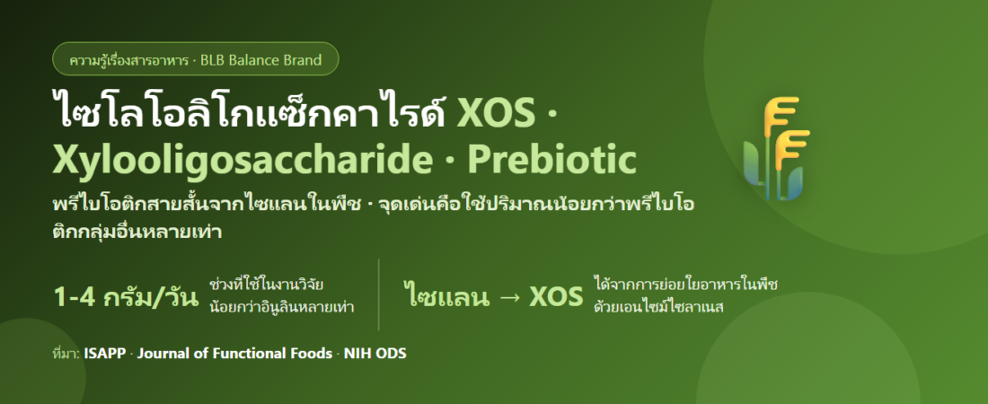 ไซโลโอลิโกแซ็กคาไรด์ (XOS) คืออะไร? พรีไบโอติกที่ใช้ปริมาณน้อยกว่าตัวอื่นมาก