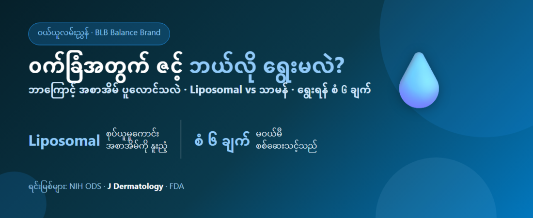 ဝက်ခြံအတွက် ဇင့် (Zinc) ဘယ်အမှတ်တံဆိပ် ကောင်းသလဲ? မဝယ်မီ သိထားရမည့် ရွေးချယ်နည်း စံ ၆ ချက်