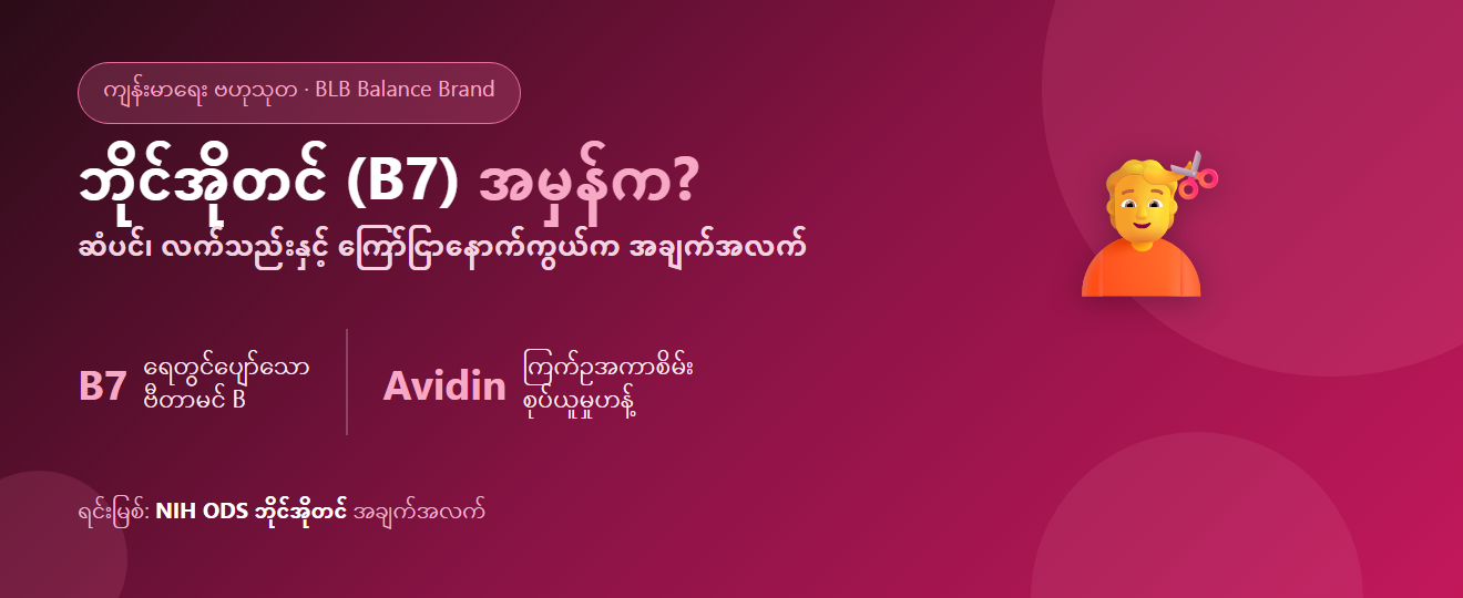 ဘိုင်အိုတင် (Biotin/B7) ဆိုတာ ဘာလဲ? ဆံပင်၊ လက်သည်း၊ အသားအရေနှင့် မဖြည့်စွက်မီ သိထားသင့်သော အမှန်တရား