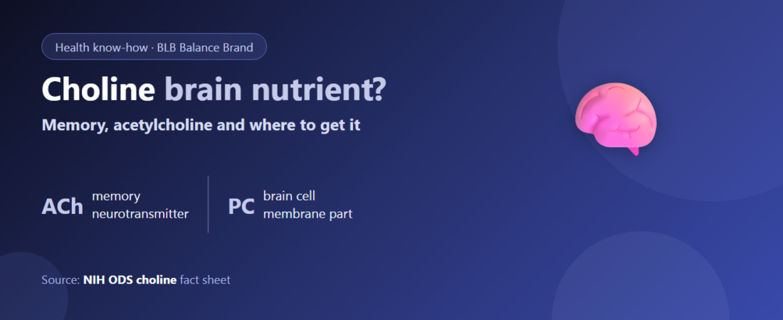 What Is Choline? The Memory Precursor — Does It Really Support the Brain, and Where Do You Get It?