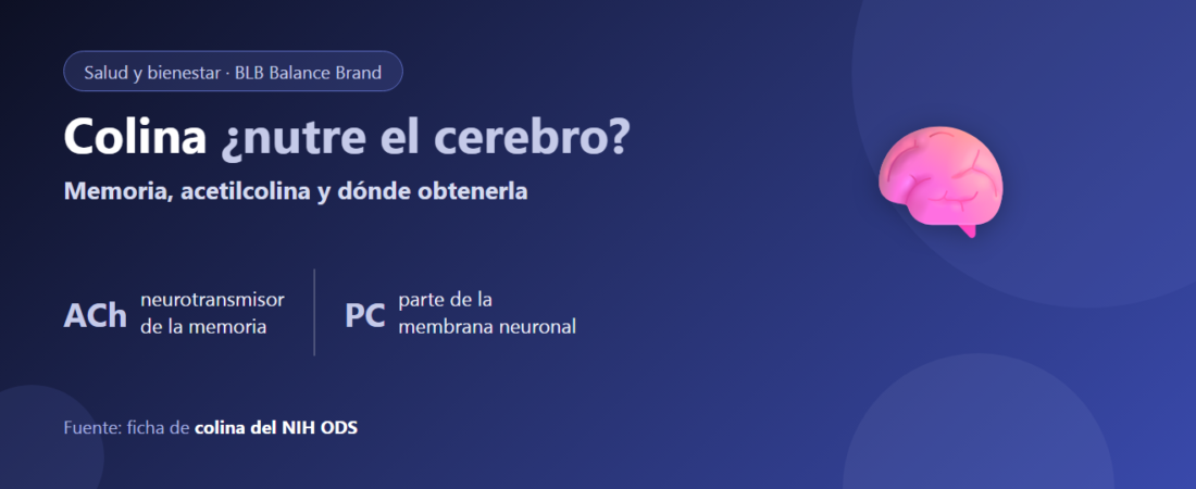 ¿Qué es la colina (Choline)? El precursor de la memoria: ¿nutre de verdad el cerebro y de dónde se obtiene?