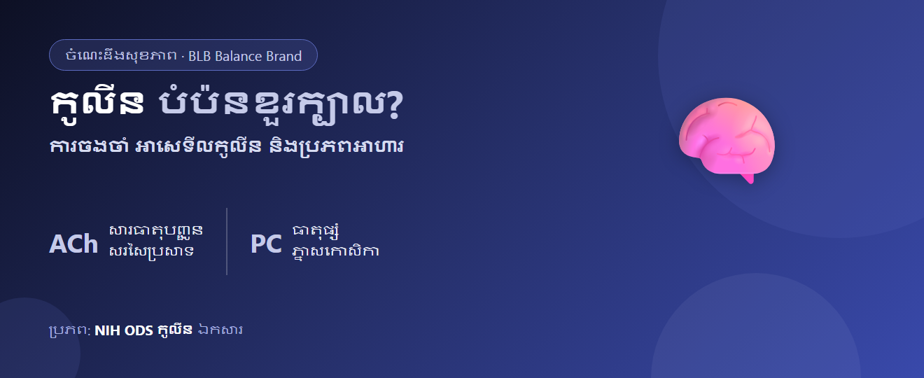 កូលីន (Choline) ជាអ្វី? សារធាតុដើមនៃការចងចាំ បំប៉នខួរក្បាលពិតមែនឬ និងទទួលបានពីណា