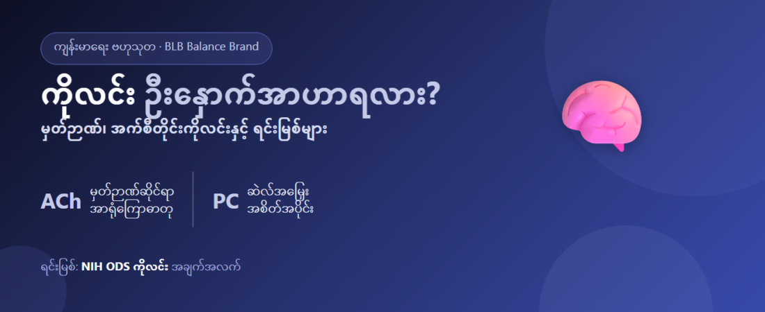 ကိုလင်း (Choline) ဆိုတာ ဘာလဲ? မှတ်ဉာဏ်၏ မူလပစ္စည်း — ဦးနှောက်ကို တကယ် အားဖြည့်ပေးသလား၊ ဘယ်က ရနိုင်သလဲ