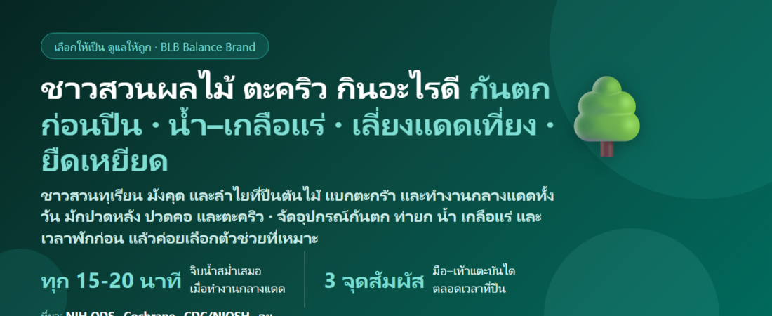 ชาวสวนผลไม้ ทุเรียน–มังคุด–ลำไย ปีนต้นไม้ แบกตะกร้า ทำงานกลางแดดจัด ตะคริว ปวดหลัง ปวดคอ กินอะไรดี? ดูแลกล้ามเนื้อและความปลอดภัยของคนทำสวน