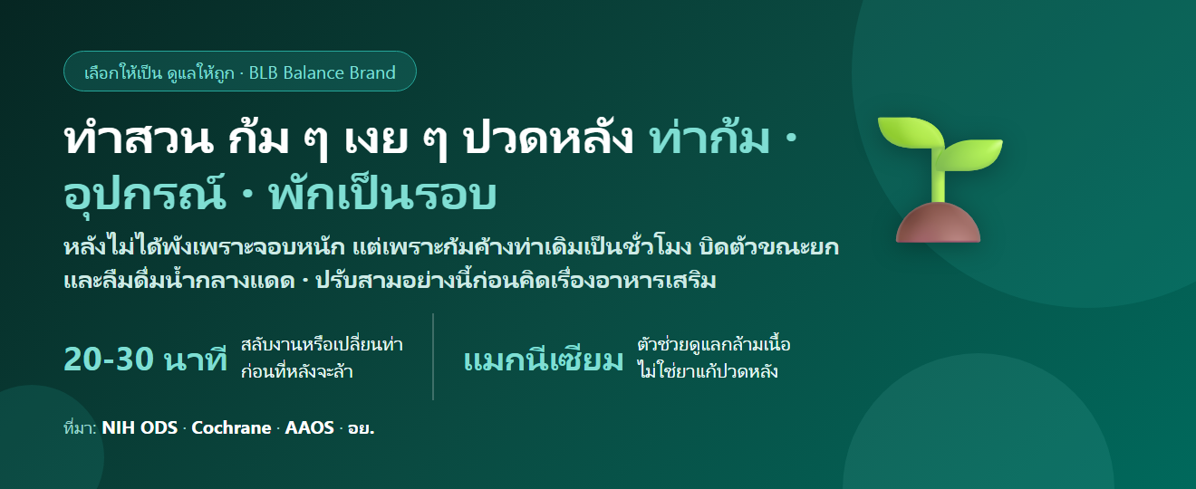 ทำสวน ปลูกต้นไม้ ก้ม ๆ เงย ๆ ปวดหลัง ปวดเอว กล้ามเนื้อตึง กินอะไรดี? ท่าที่ถูก อุปกรณ์ที่ช่วย และบทบาทจริงของแมกนีเซียม