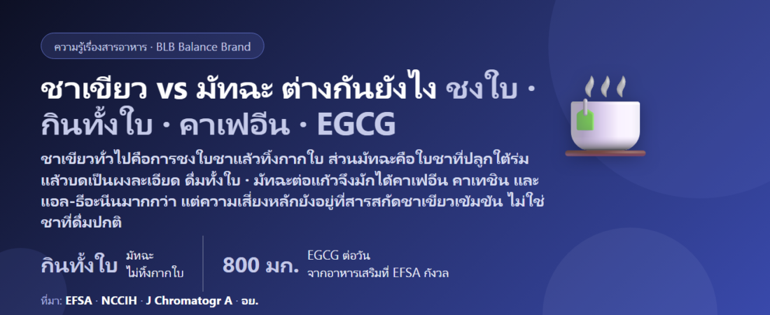 ชาเขียว vs มัทฉะ ต่างกันยังไง? คาเฟอีนและ EGCG ตัวไหนมากกว่า แอล-ธีอะนีนต่างกันแค่ไหน ดื่มวันละกี่แก้ว ดื่มตอนไหน และโทษที่ต้องรู้ (ตับ ธาตุเหล็ก น้ำตาลในลาเต้)