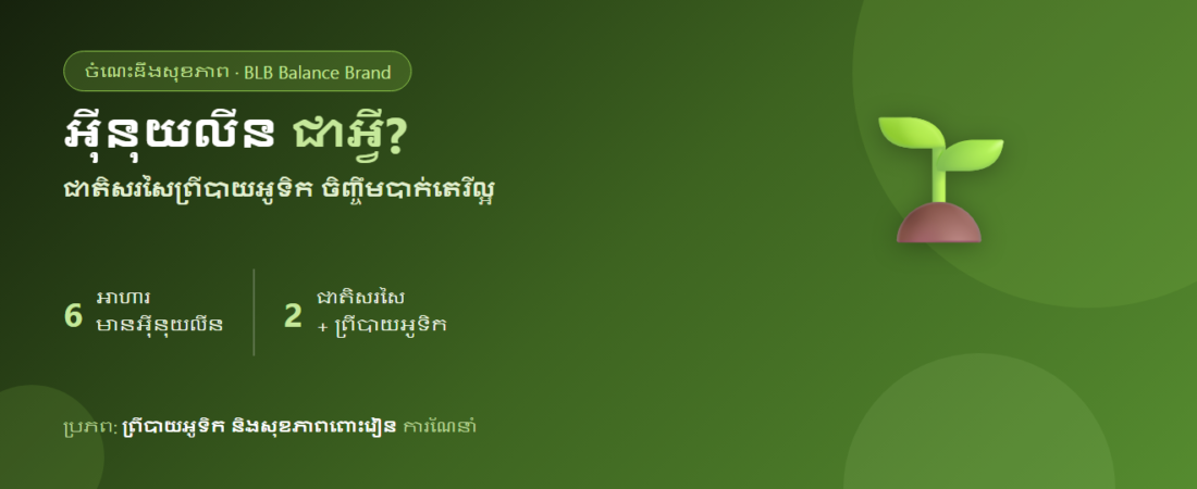 អ៊ីនុយលីន (Inulin) ជាអ្វី? ព្រីបាយអូទិកចិញ្ចឹមបាក់តេរីល្អ និងទទួលបានពីអាហារអ្វីខ្លះ