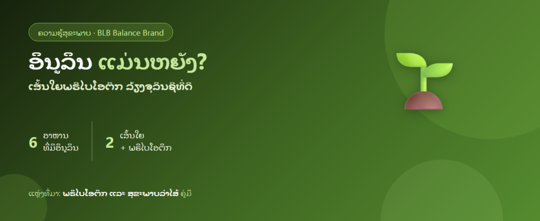 ອິນູລິນ (Inulin) ແມ່ນຫຍັງ? ພຣີໄບໂອຕິກລ້ຽງຈຸລິນຊີທີ່ດີ ແລະ ໄດ້ຈາກອາຫານຫຍັງ