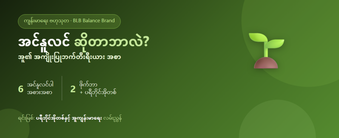 အင်နူလင် (Inulin) ဆိုတာ ဘာလဲ? အကျိုးပြုဘက်တီးရီးယားကို ကျွေးမွေးသော ပရီဘိုင်အိုတစ်နှင့် ဘယ်အစားအစာတွေကနေ ရနိုင်သလဲ