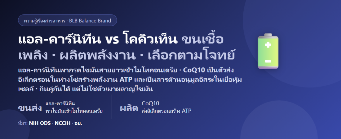 แอล-คาร์นิทีน vs โคคิวเท็น (CoQ10) ต่างกันยังไง? ตัวขนไขมันเข้าเซลล์ vs ตัวช่วยโรงไฟฟ้าในเซลล์ ตัวไหนเหมาะกับใคร กินคู่กันได้ไหม กินตอนไหน และยาที่ต้องระวัง