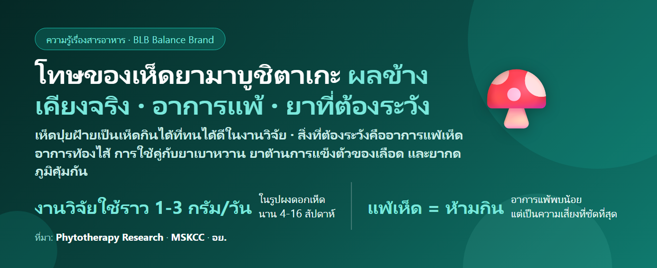 โทษของเห็ดยามาบูชิตาเกะ (เห็ดปุยฝ้าย / Lion’s Mane) มีอะไรบ้าง? ผลข้างเคียง ยาที่ต้องระวัง และใครไม่ควรกิน
